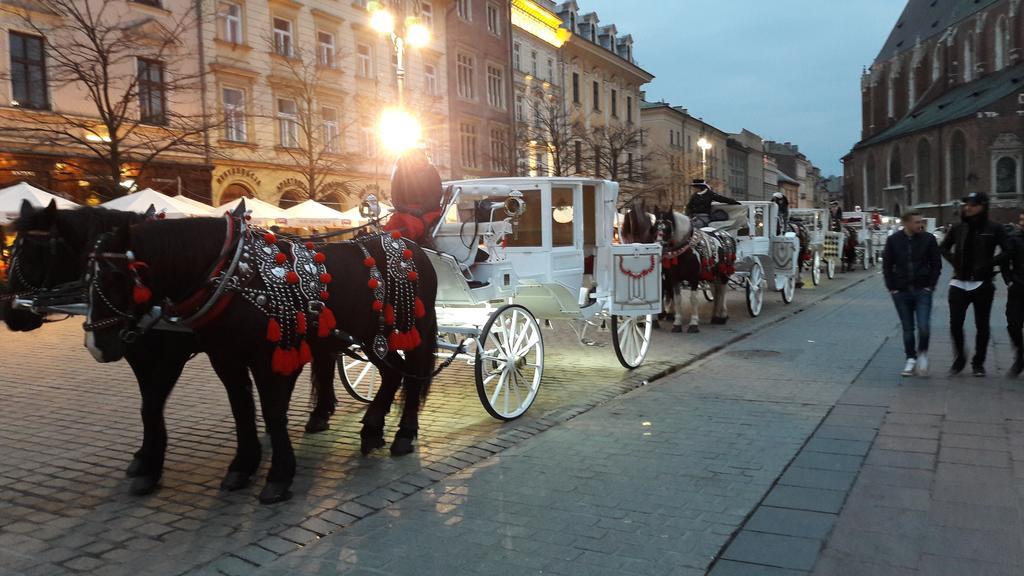 Apartament Feniks Stare Miasto Krasków Exterior foto